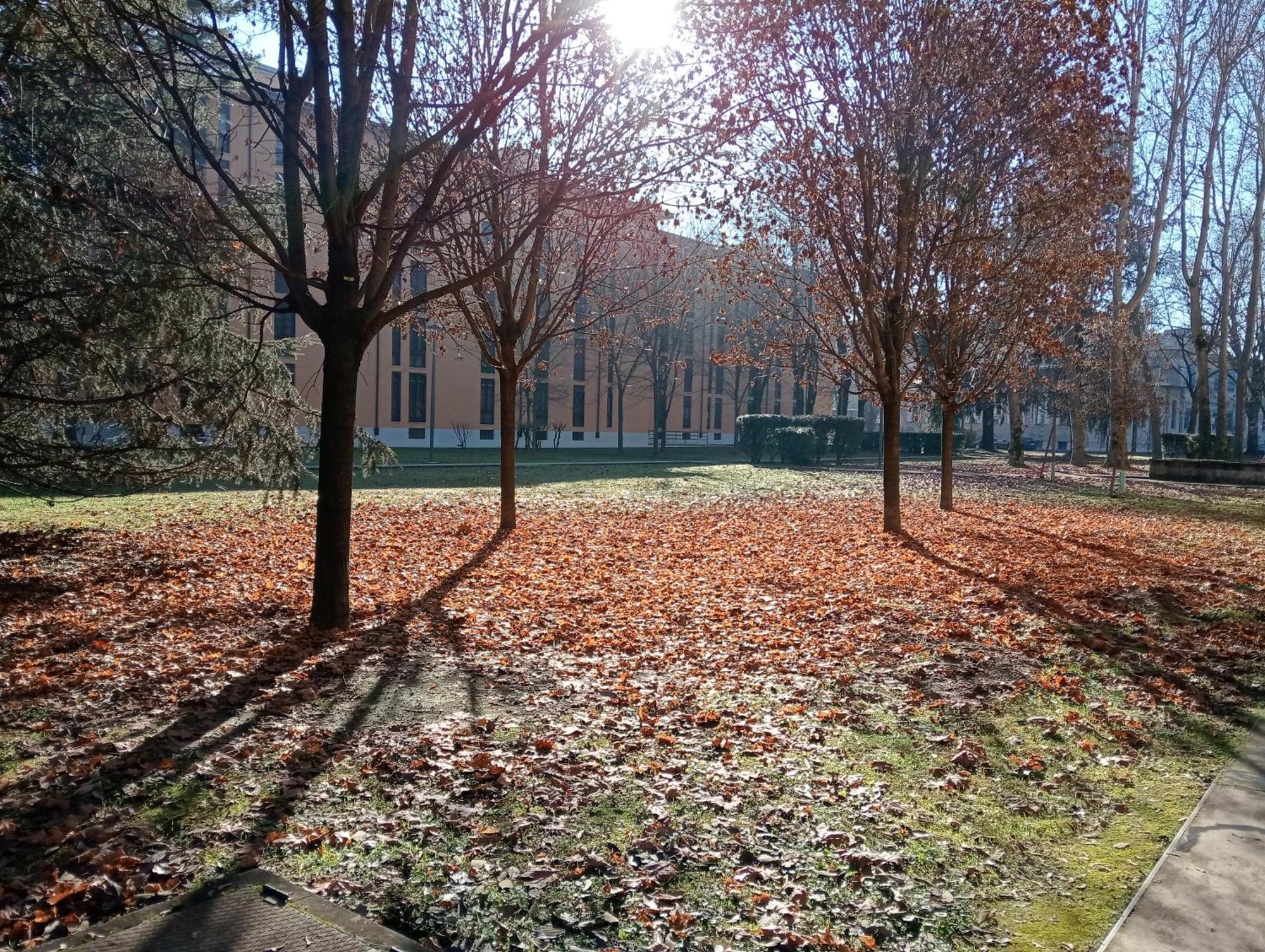 Sandonhouse Milano San Donato Milanese Buitenkant foto